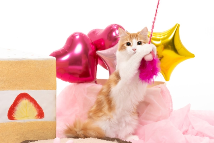 2026年度現在の採用状況について