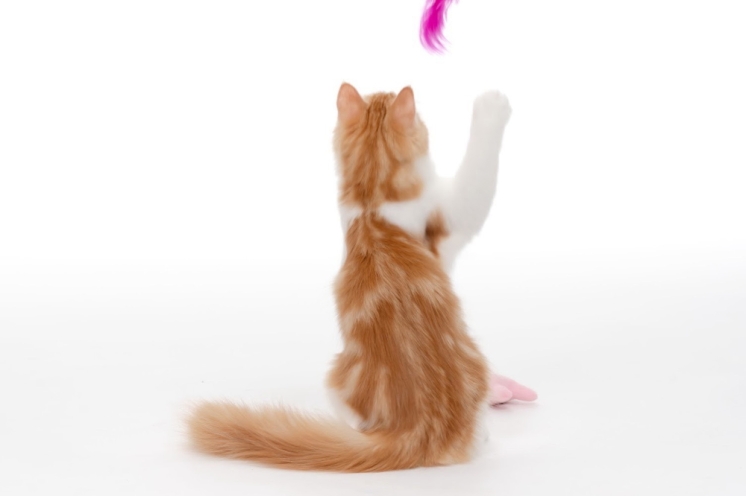 年末年始のお問い合わせ対応について